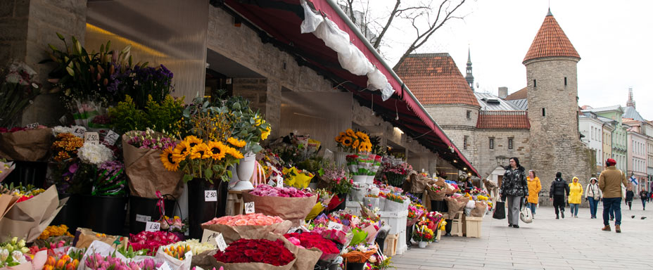 Gata i centrala Tallinn