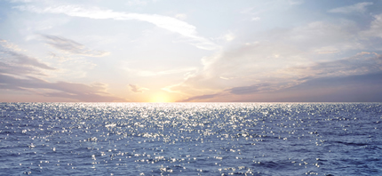 Спецпредложения