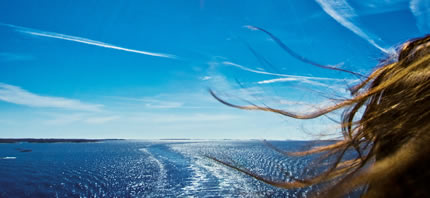 Спецпредложения