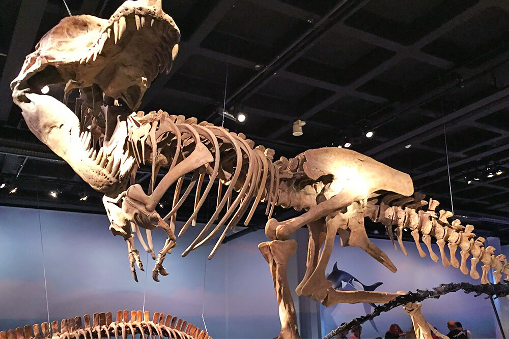 Lastega Stockholmis: 10 soovitust