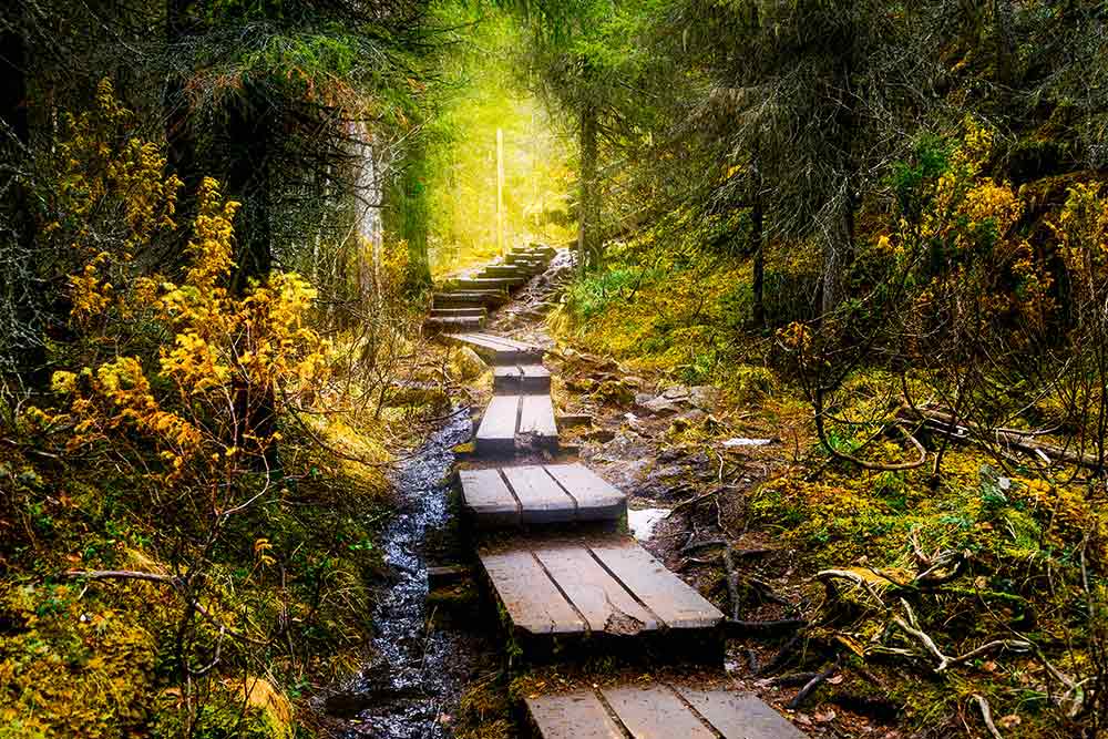 Мир и покой в Хельсинки