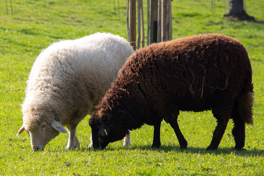 36 põhjust Helsingisse armumiseks