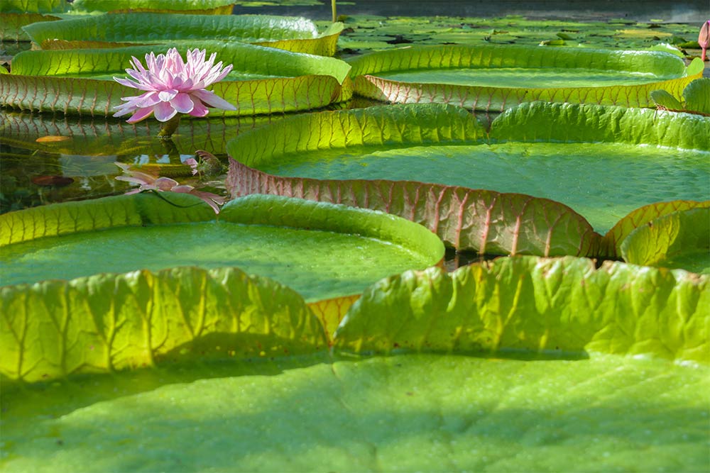 Мир и покой в Хельсинки